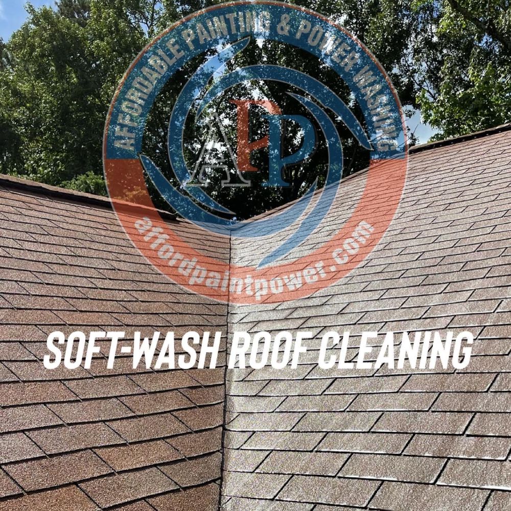 Soft Wash Roof Cleaning in Snellville, GA