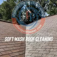 soft-wash-roof-cleaning-snellville-ga 0